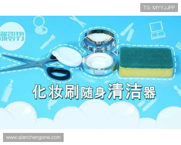 色碟的清洗与保养方法，延长使用寿命的实用技巧