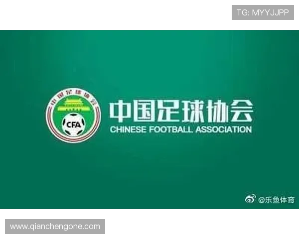 解析乐鱼体育平台登录的相关规则与条款