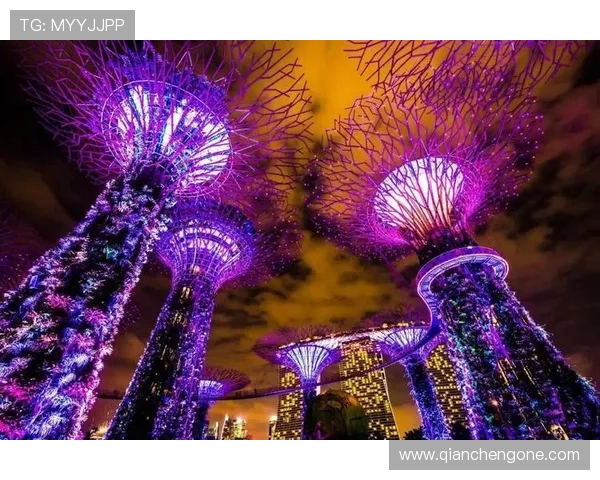 新加坡娱乐城：体验奢华娱乐与精彩博彩的完美结合